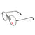 FM3292 Metal Eyeglasses